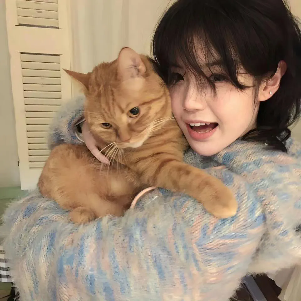 洪锡天的宝石盒第三季